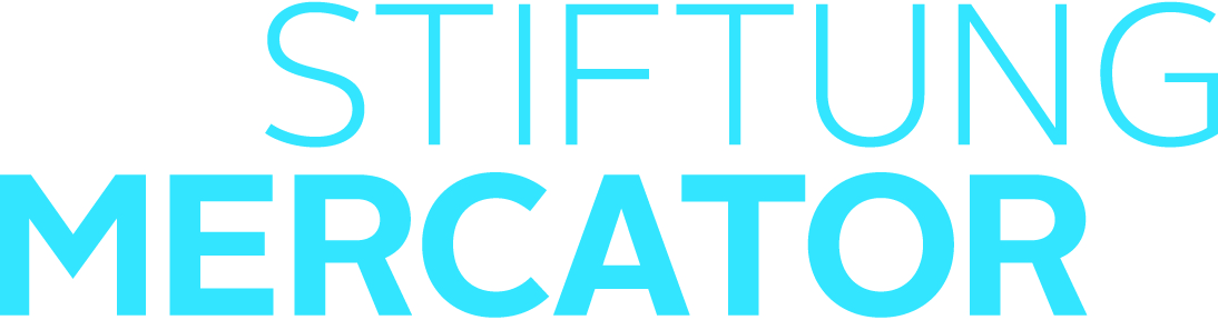 Stiftung Mercator Blau CMYK [Konvertiert]