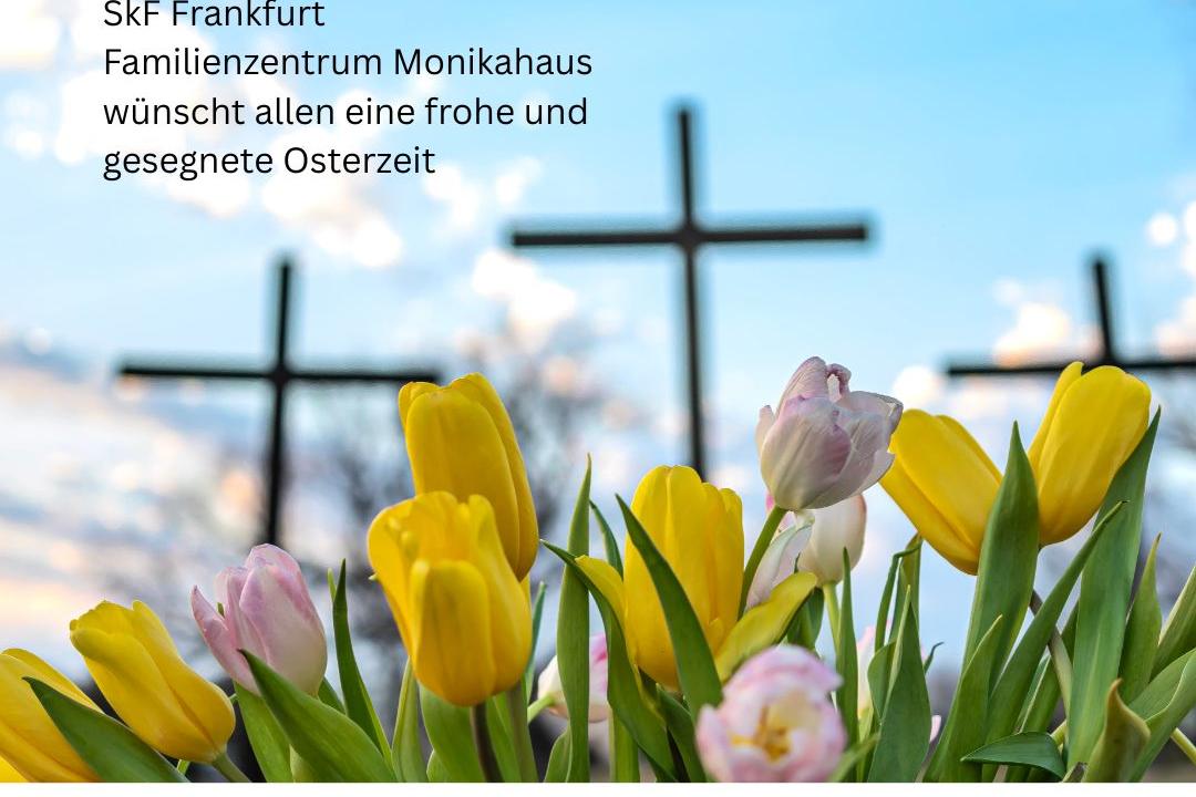 Sozialdienst katholischer Frauen e. V.