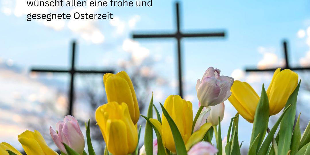 Sozialdienst katholischer Frauen e. V.