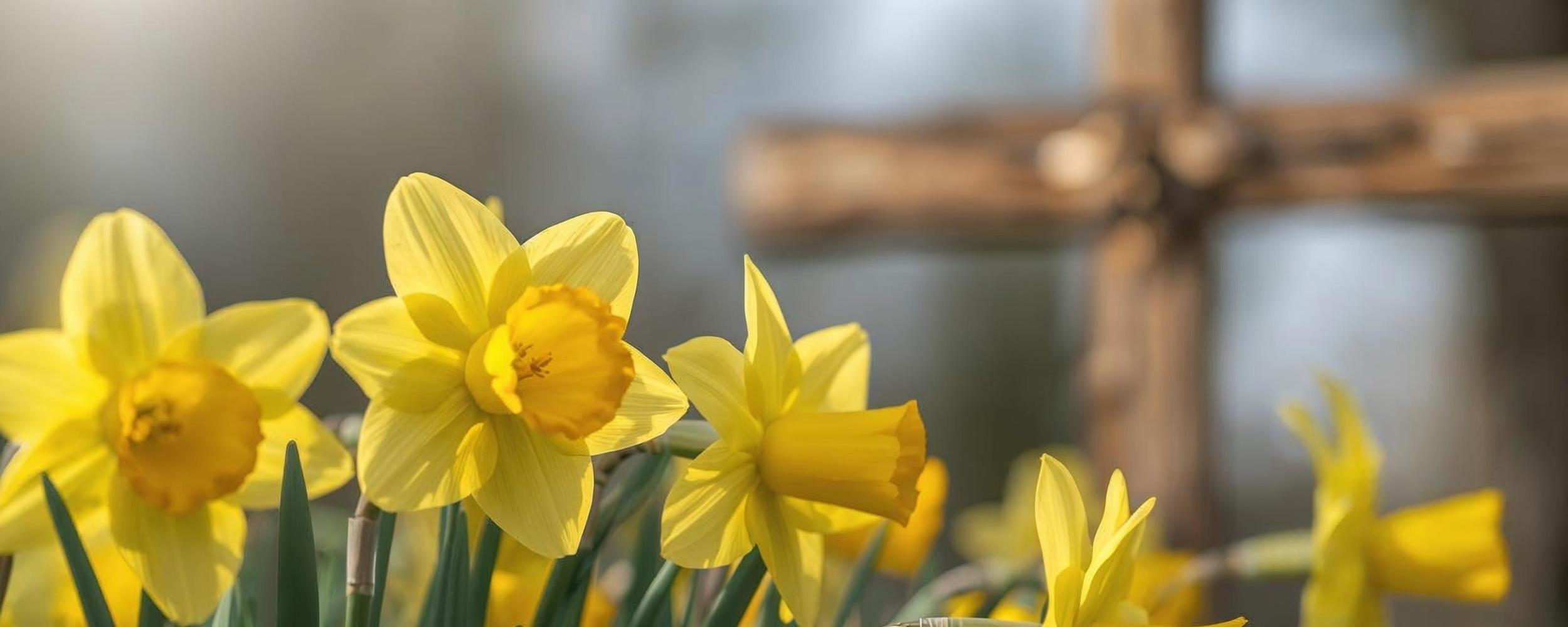 Sozialdienst katholischer Frauen e. V. <br>Frankfurt am Main
