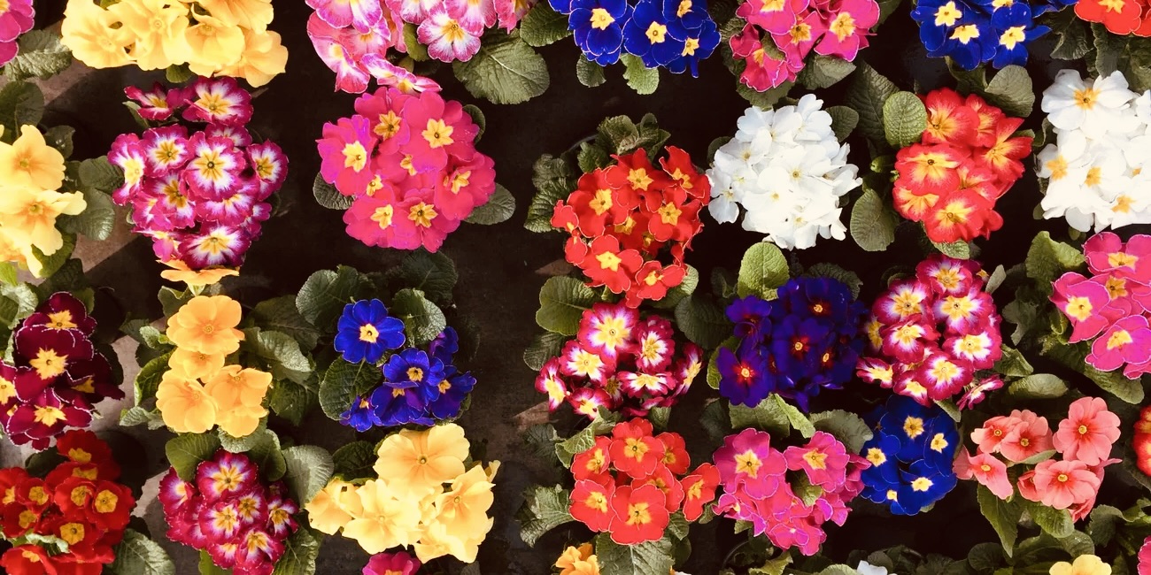 Wir feiern die Stärke und Vielfalt von Frauen