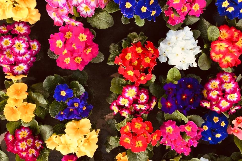 Wir feiern die Stärke und Vielfalt von Frauen